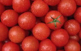 tomateak potentzia